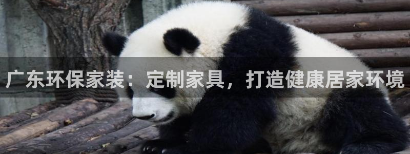 杏耀代理主管qq