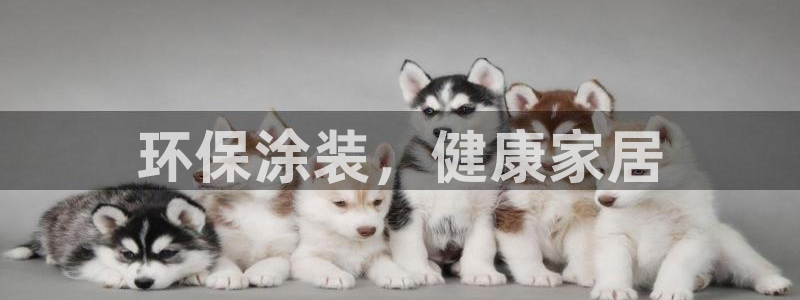 杏耀代理登录中心