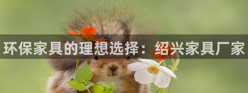 杏耀平台官网网址