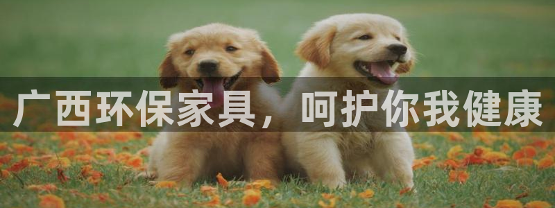 杏耀平台分红