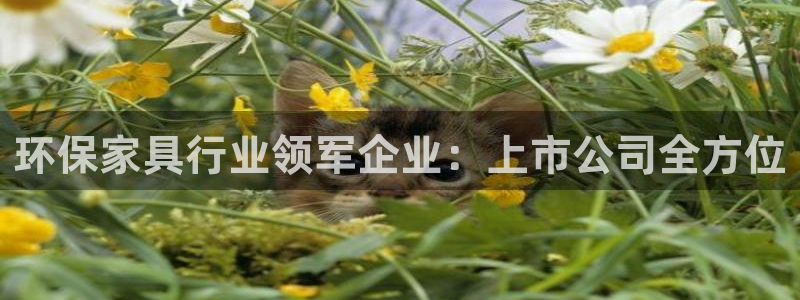 杏耀平台官方登陆
