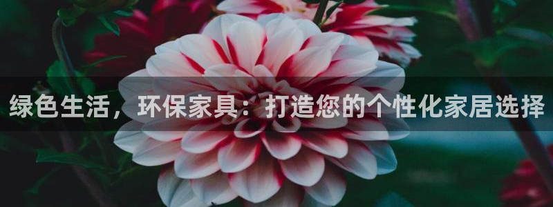 杏耀平台代理注册