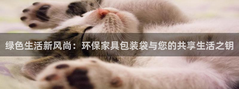 杏耀注册登陆：绿色生活新风尚：环保家具包装袋与您的共享生活之