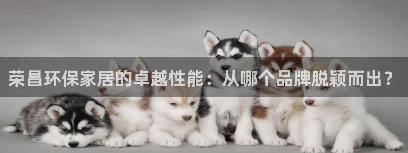 杏耀平台登录：荣昌环保家居的卓越性能：从哪个品牌脱颖而出？