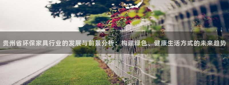 杏耀平台专用通道：贵州省环保家具行业的发展与前景分析：构建绿