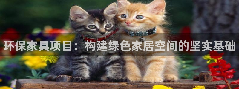 杏耀代理主管qq