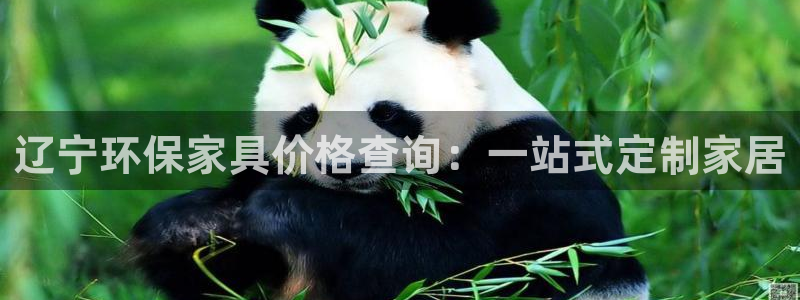 杏耀总代：辽宁环保家具价格查询：一站式定制家居