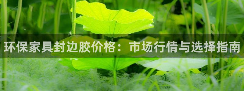 杏耀平台注册流程：环保家具封边胶价格：市场行情与选择指南