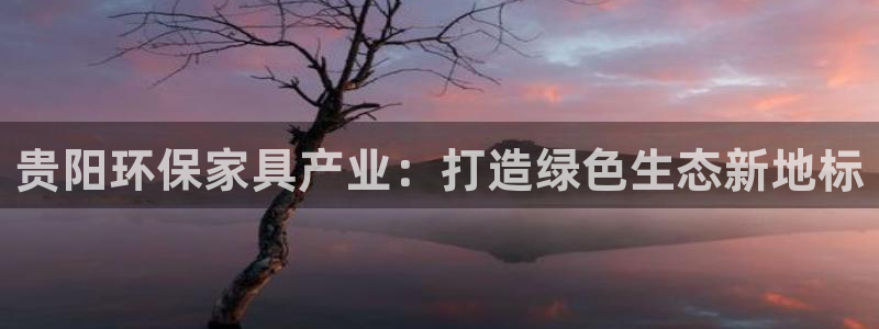 杏耀平台注册入口：贵阳环保家具产业：打造绿色生态新地标