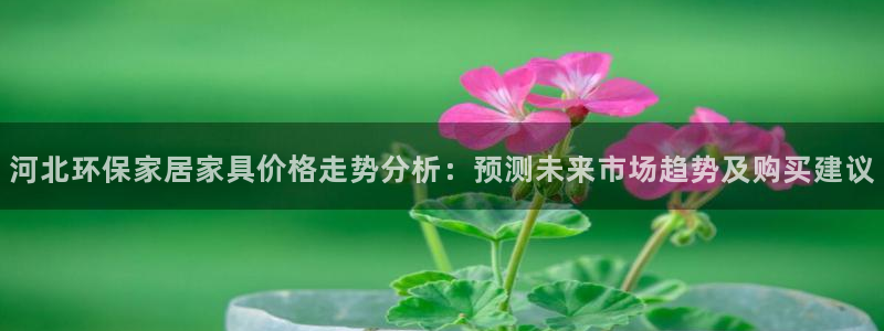 杏耀平台代理怎么赚钱：河北环保家居家具价格走势分析：预测未来