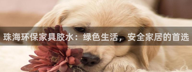 杏耀平台代理登录网址：珠海环保家具胶水：绿色生活，安全家居的