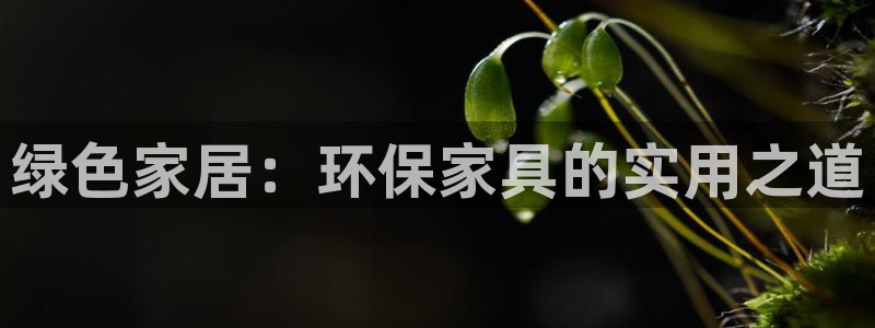 杏耀平台注册入口：绿色家居：环保家具的实用之道