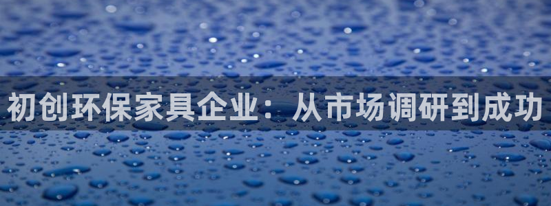 杏耀平台已7O777：初创环保家具企业：从市场调研到成功