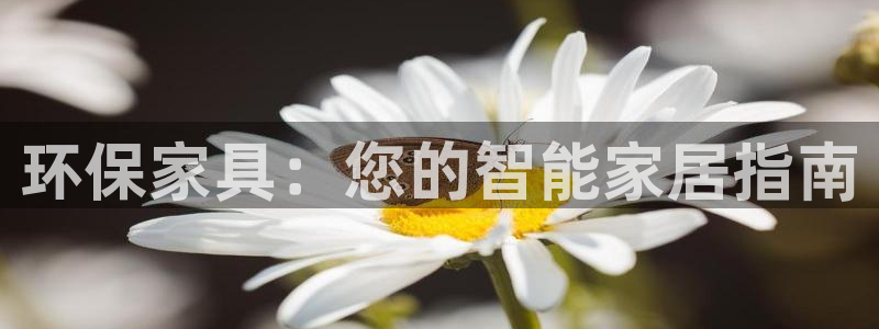 杏耀平台测速登陆：环保家具：您的智能家居指南