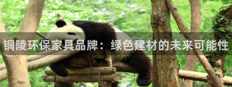 杏耀如何注册：铜陵环保家具品牌：绿色建材的未来可能性