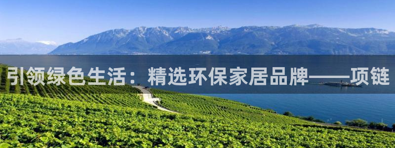 杏耀平台没有了：引领绿色生活：精选环保家居品牌——项链