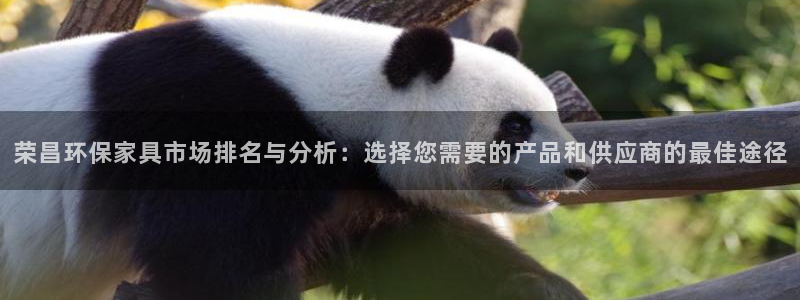 杏耀主管qq：荣昌环保家具市场排名与分析：选择您需要的产品和