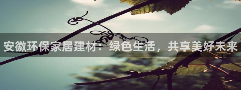 杏耀客户端登录：安徽环保家居建材：绿色生活，共享美好未来