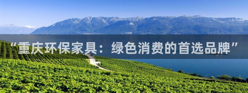 杏耀平台登录网址：“重庆环保家具：绿色消费的首选品牌”